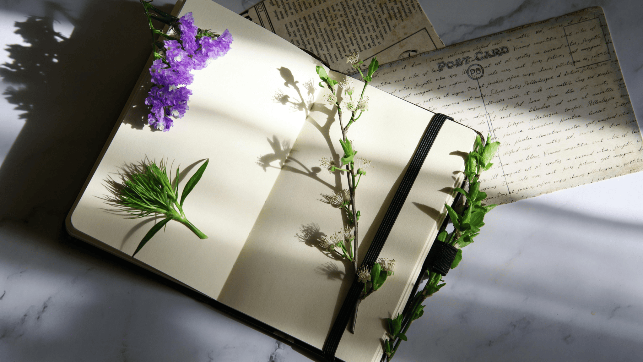 Open journal with flowers and sunlight on the pages, symbolizing reflection, healing, and personal growth through journaling and shadow work.